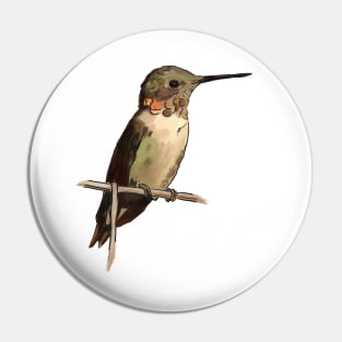 Hummingbird Attention Span Pin