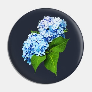 Hydrangeas - Blue Hydrangea Profile Pin