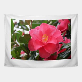 Pink Camellia Tapestry