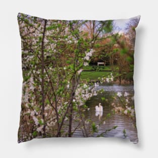Spring Dream Pillow