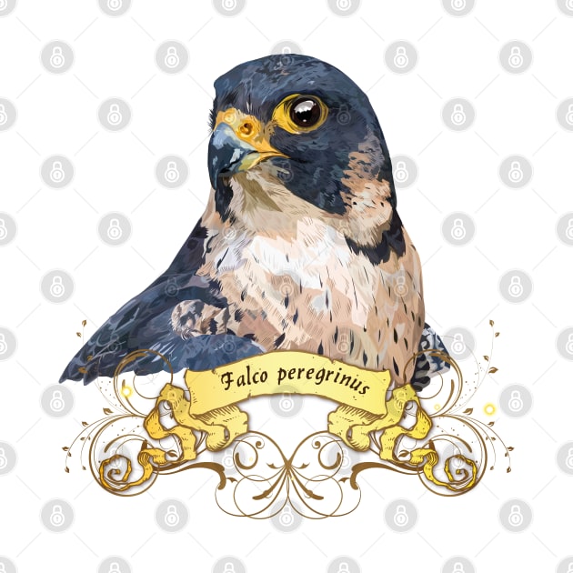 Peregrine falcon by obscurite
