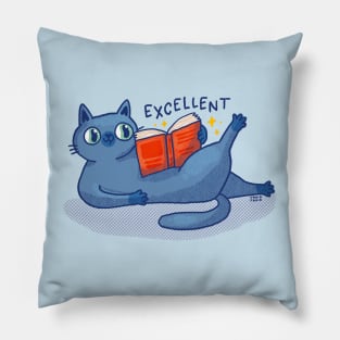 Excellent Pillow