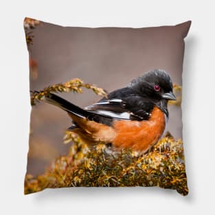 Eastern Towhee Pillow