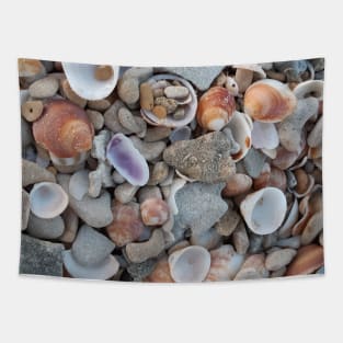 Sea-shells. pattern, shell, beach. sea. summer, sea-life. sand. Tapestry