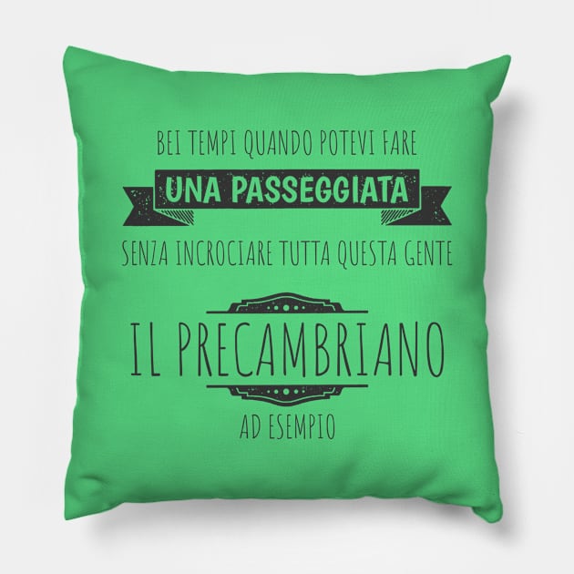 Precambriano - colori chiari Pillow by andreabaldinazzo