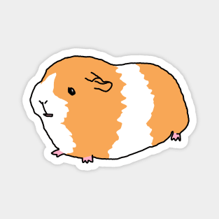 A Little Guinea Pig Magnet