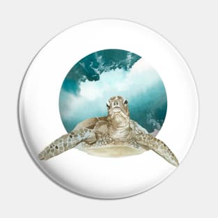 Painted turtle with ocean/sea background Pin