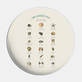 Shells Identification Chart Pin