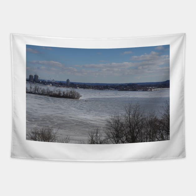 Ice Fishing Hamilton Harbour Tapestry by srosu