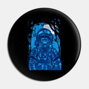THE MONKEY OF SPACE Pin
