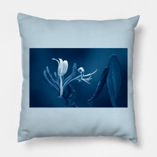 Honeysuckle Bloom Pillow