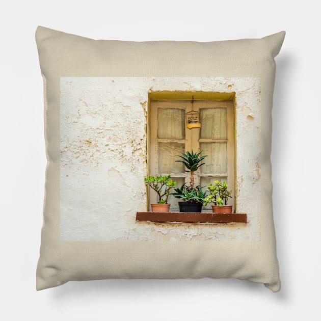 Window with flower garden and bird cage Pillow by lena-maximova