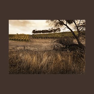 Vineyards, near Bright T-Shirt