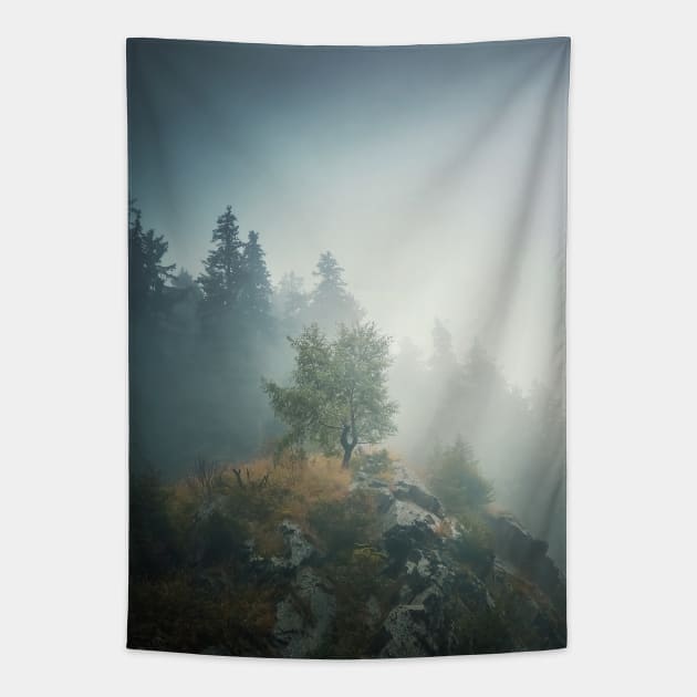 Solitary tree on a misty hill Tapestry by psychoshadow