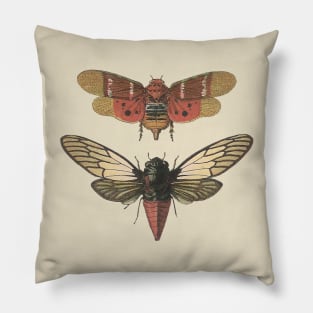 Butter bugs Pillow