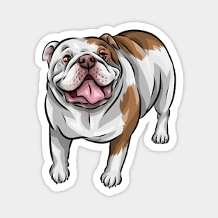 English Bulldog | Red and White Magnet