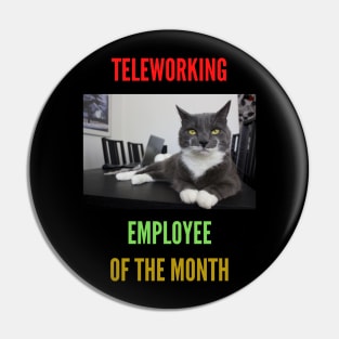 Teleworking - Employee of the Month: The Cat II Pin