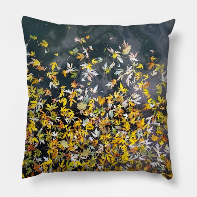 Golden autumn leaves falling on water Pillow by iyd39