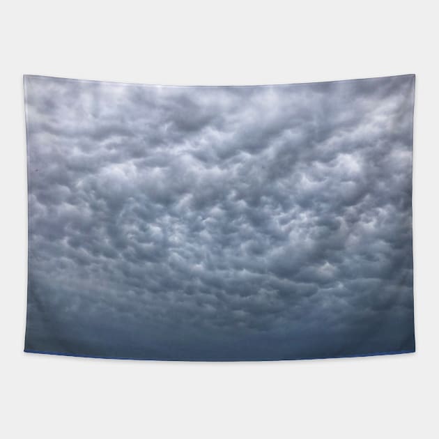 Under cloudy heavenly sky. Blue grey cumulus cloudscape Tapestry by Khala