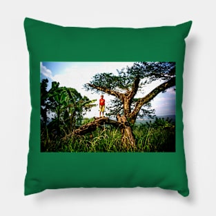 Boy on tree-amazing images Pillow