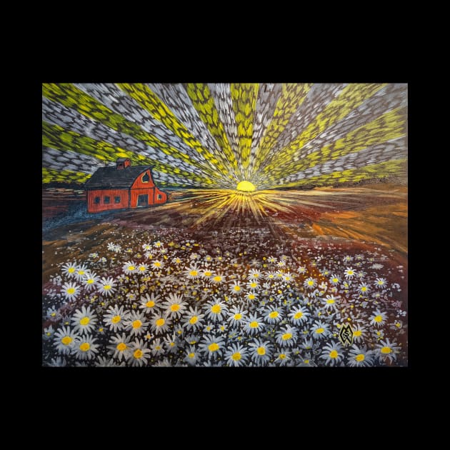 In the daisy field at sunrise by Matt Starr Fine Art