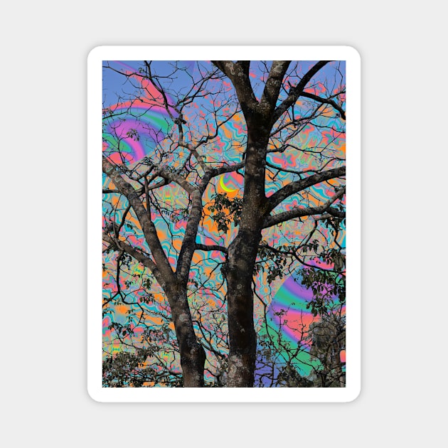 Mind Trees Magnet by Cajuca