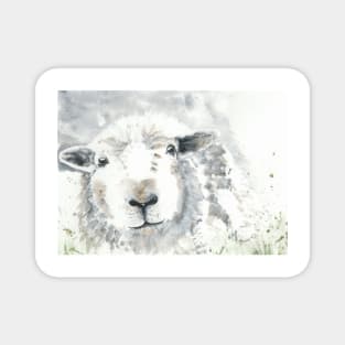 Sheep Magnet