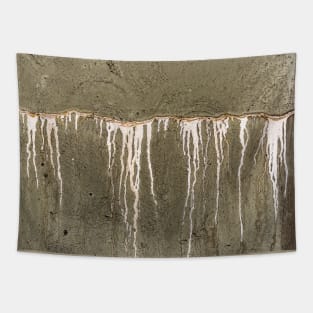 Leaking concrete 7 Tapestry