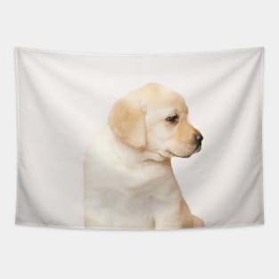 Labby the Labrador Dog Tapestry