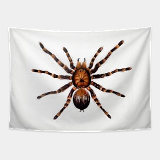 spider Tapestry