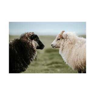 Sheeply in Love in Iceland - Animal Photography T-Shirt