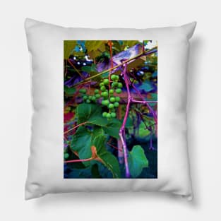 Hanging on the Vine Pillow