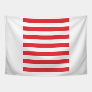 Red And White Striped For Family Holidays Tapestry