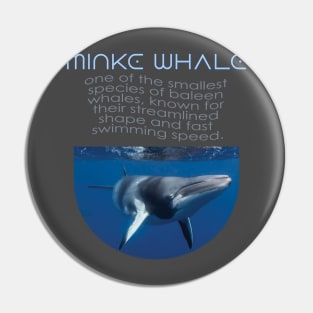 Alaska Whale Watching Pin