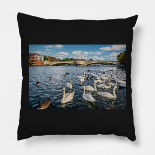Swans by Caversham Bridge in Reading Pillow