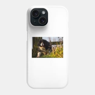 Cavalier King Charles Spaniel out walking Phone Case