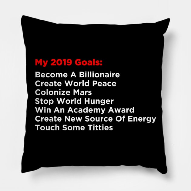 My 2019 Goals Pillow by boldifieder