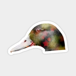 Duck Disco Magnet