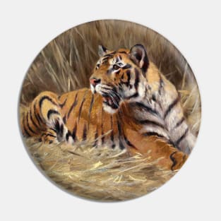 Tiger in the tall grass Pin