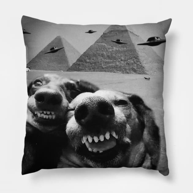 Funny Dog Selfie Alien UFO Invasion Pyramid Egypt Giza Meme Pillow by Kushteez