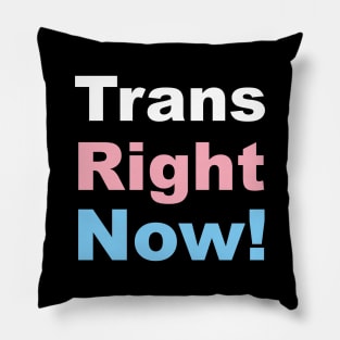 Trans Right Now! Transgender Rights Pillow