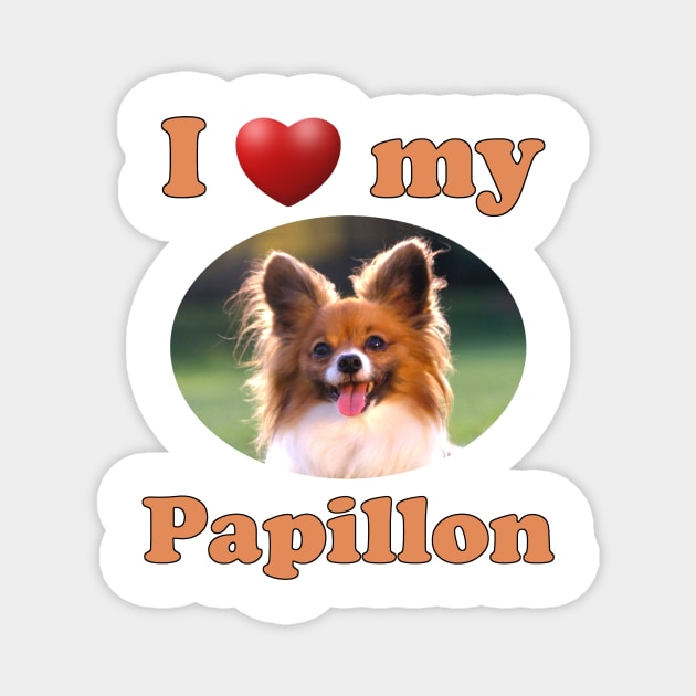 I Love My Papillon Papillons Magnet TeePublic