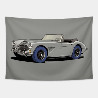 Austin-Healey 3000 in Silver Grey Tapestry