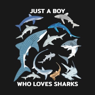 Just a boy who loves sharks T-Shirt