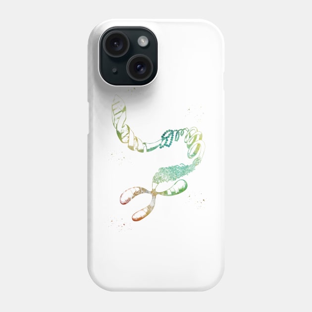 DNA Chromosome Phone Case by erzebeth