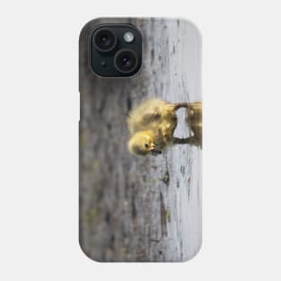 Pigpen reflections Phone Case