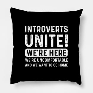 Introverts Unite Pillow