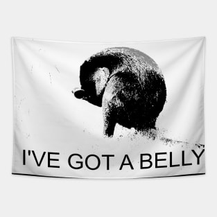 I've  Got a Belly Tapestry