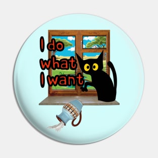 I DO WHAT I WANT Pin