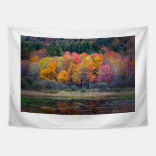 Burst of Fall Tapestry